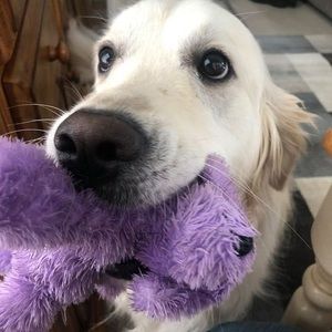 Meet your Posher, Lb